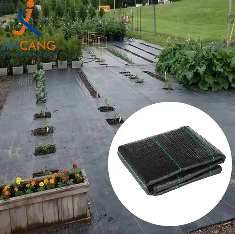 Pp austas piktžolių kilimėlis