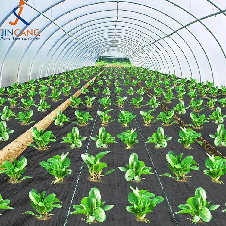 Pp austas piktžolių kilimėlis