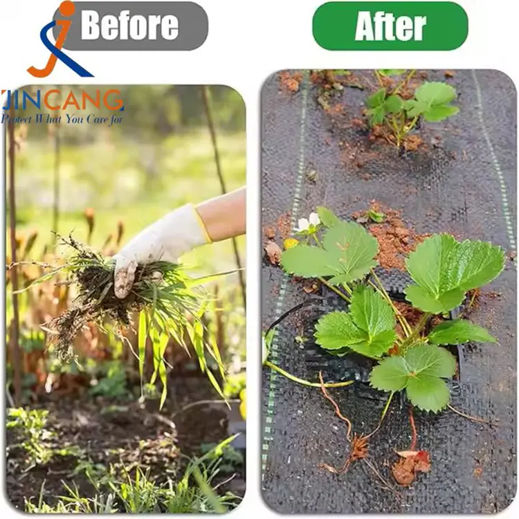 Pp austas piktžolių kilimėlis