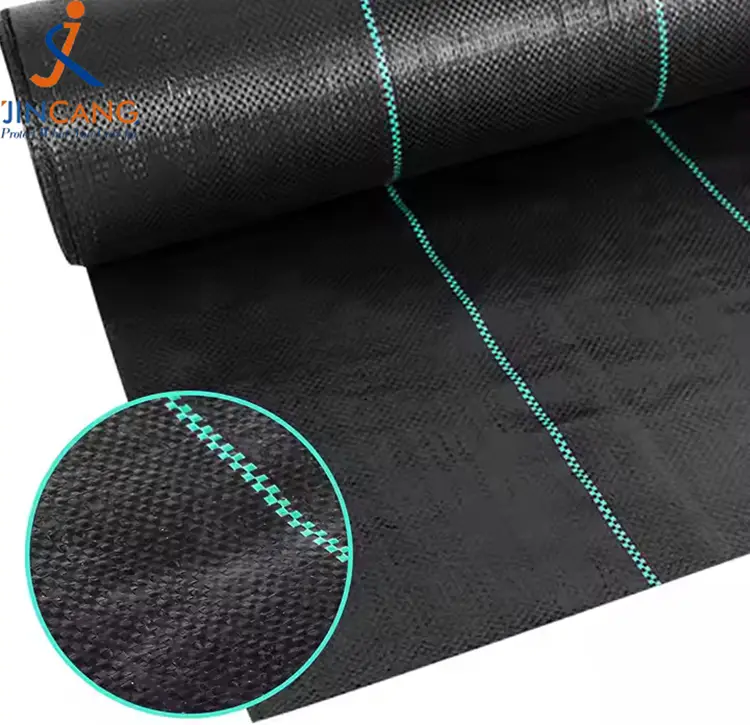 Pp austas piktžolių kilimėlis