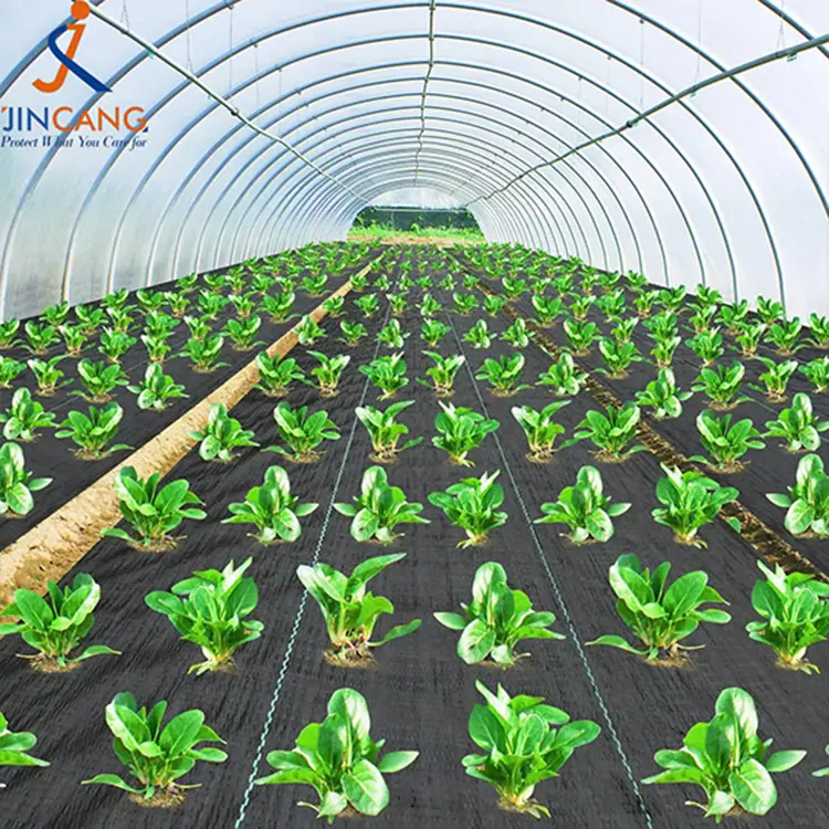 Geotextile žolės barjeras juodos piktžolių barjerinio audinio kilimėlis