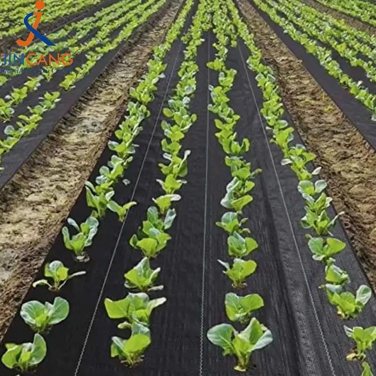 Patvarus piktžolių kilimėlis